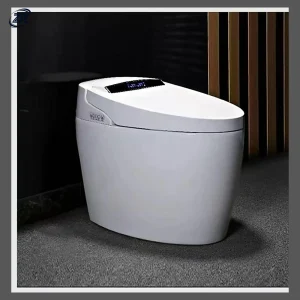 Model 001 Smart Toilet