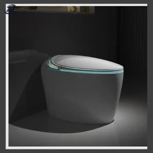 Model 003 Cloud Egg Smart Toilet