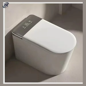 Model 333 Smart Toilet