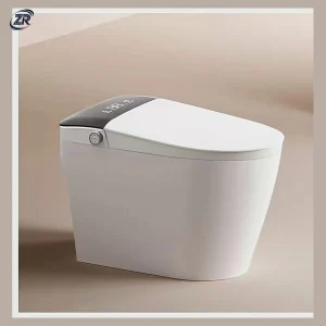 Model 801 Smart Toilet