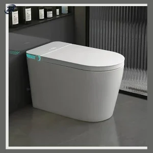 Model 806 Smart Toilet