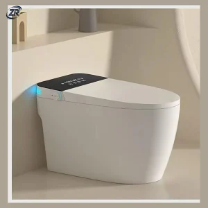 Model 808 Smart Toilet