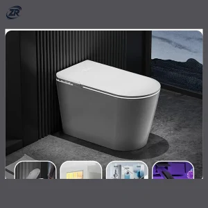 Model 888 Tank-type Smart Toilet