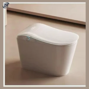Goddess 009 Smart Toilet