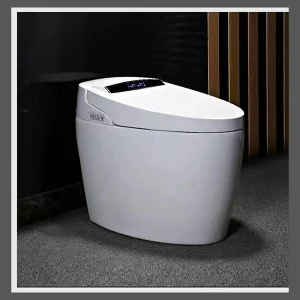 Model 001 Smart Toilet