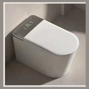 Model 333 Smart Toilet
