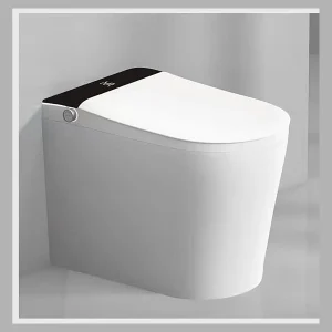 Model 555 Smart Toilet