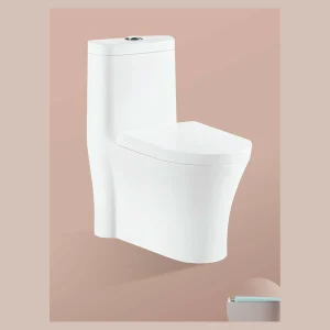 Model 801 One-piece Toilet
