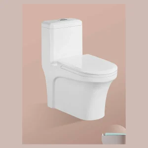 Model 805 One-piece Toilet