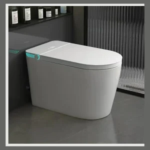 Model 806 Smart Toilet