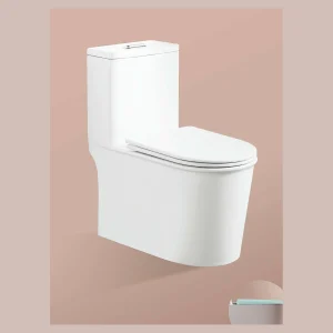 Model 811 One-piece Toilet