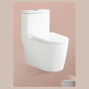 Model 813 One-piece Toilet