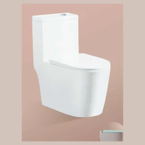 Model 816 One-piece Toilet
