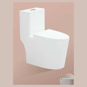 Model 817 One-piece Toilet