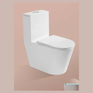 Model 818 One-piece Toilet