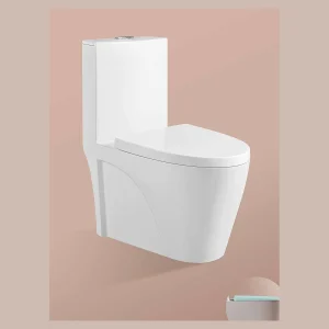 Model 819 One-piece Toilet