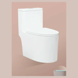 Model 820 One-piece Toilet