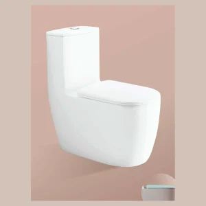 Model 822 One-piece Toilet
