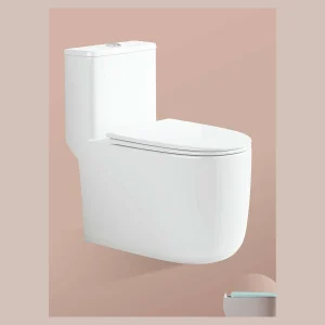 Model 825 One-piece Toilet
