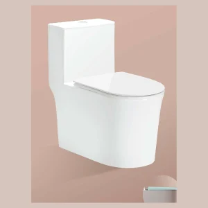 Model 828 One-piece Toilet