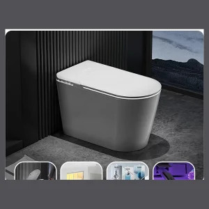 Model 888 Tank-type Smart Toilet