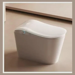 Goddess 009 Smart Toilet
